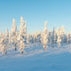 Imagen: Invierno en la traiga siberiana. Vladimir K. / Shutterstock